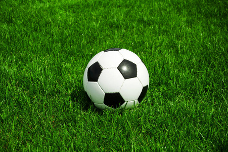 免费注册球探比分账户