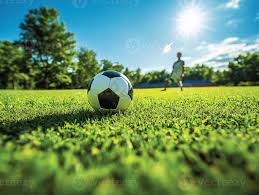 开始使用球探比分所有功能